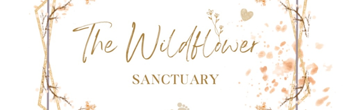 The Sensory Sanctuary ✨💫