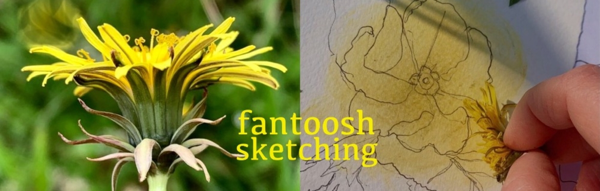 Dandelion &  flower sketch, by Lynn Fraser.