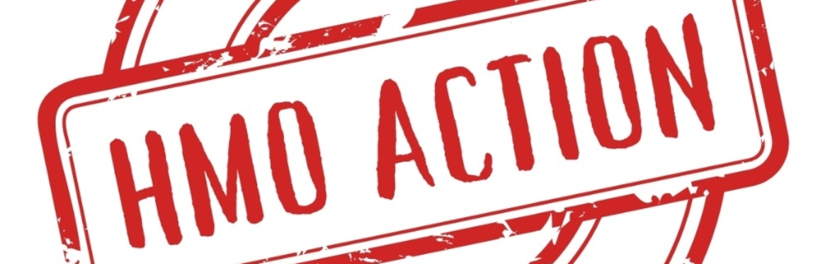 HMO Action Group Spring Conference 2025