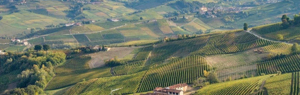 Barolo & Barbaresco