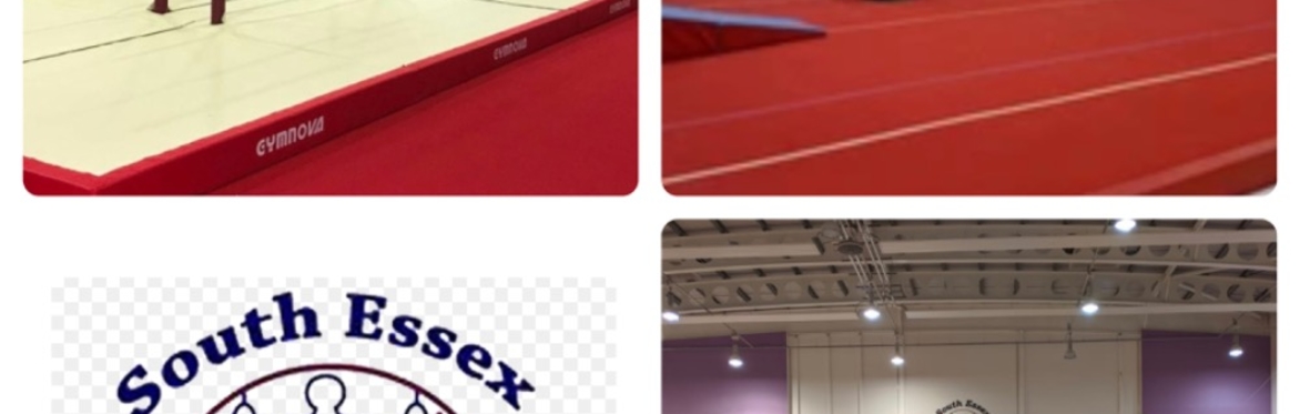 South essex gymnastics club private hire