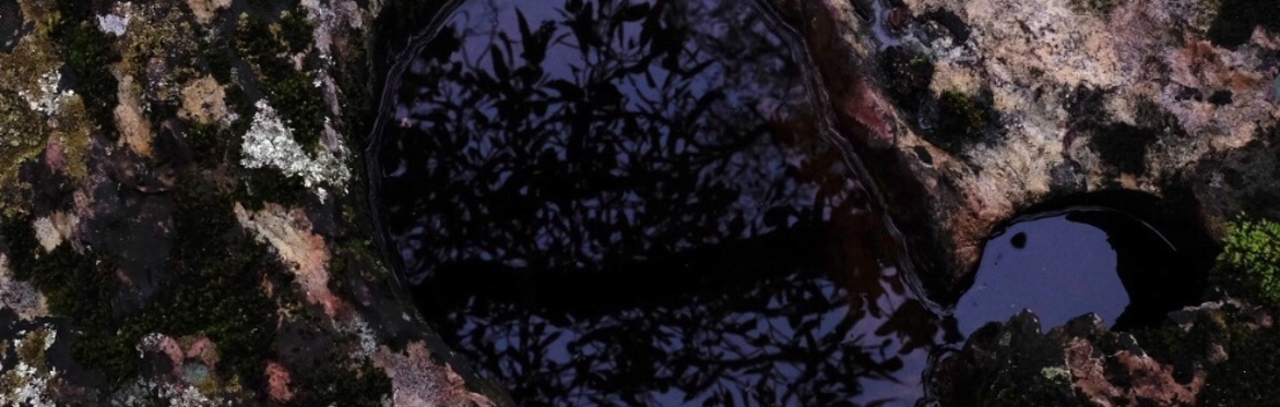 Genevieve Fry & Esala Liyanage: In search of blank space - A sonic response to the work of Yoko Ozawa