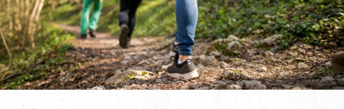 Meet A Greenspace Hike with Cardinal Land Conservancy and C4H