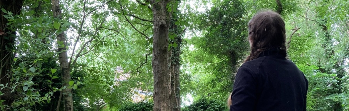 3 Week Nature Writing Workshop
