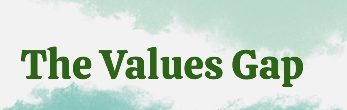Digital ZOOM | The Values Gap: Moving from Symbolic Gestures to Lasting Transformation | December 10th, 2026