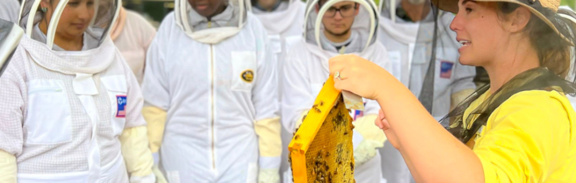 Bee Downtown Hive Tour @ Frontier RTP