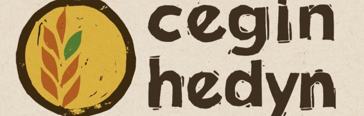 Cinio'r Gynhadledd yn Cegin Hedyn / Conference Dinner at Cegin Hedyn