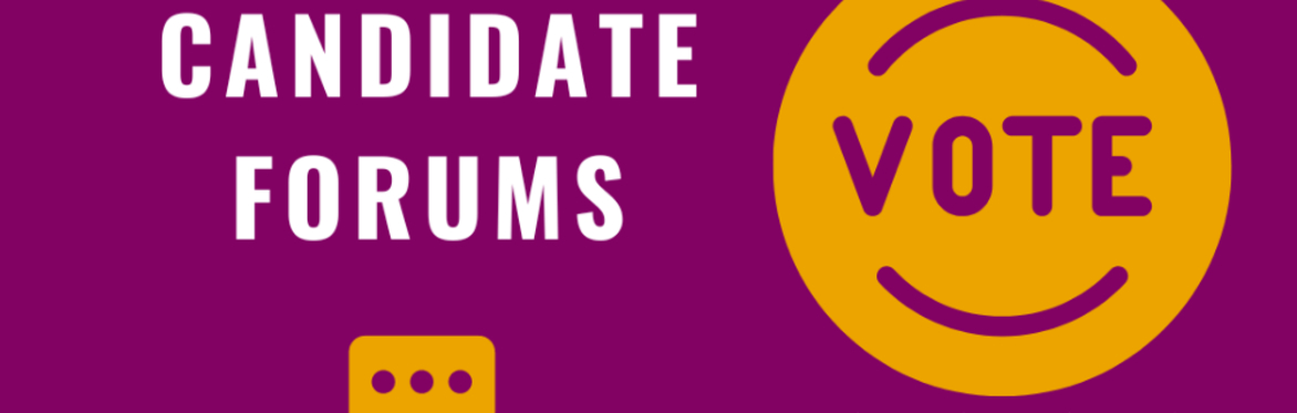 Candidate Forum: State House District 113, Special Election
