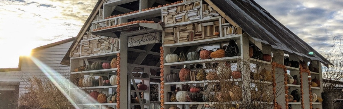 Pumpkin house and friends at Junkstock