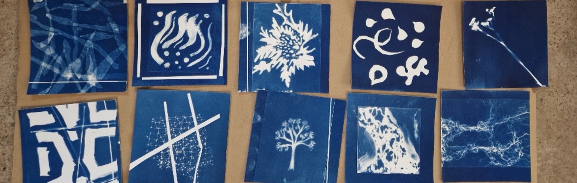 Solstice Sun Prints