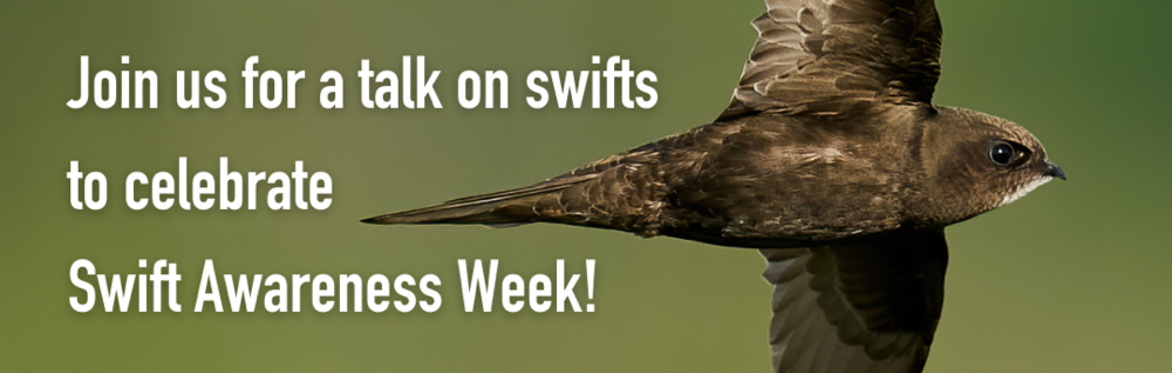 A Swift Migration