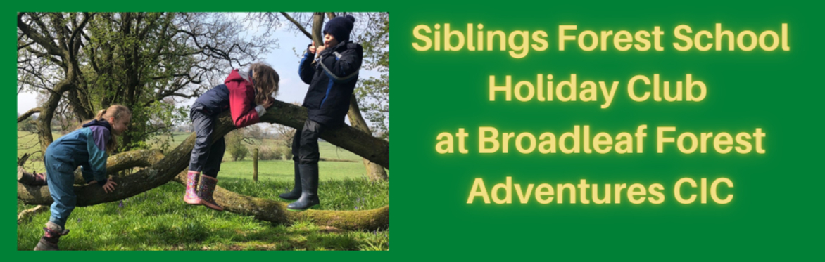 Sibs Club - Forest School Holiday Club 9am-4pm