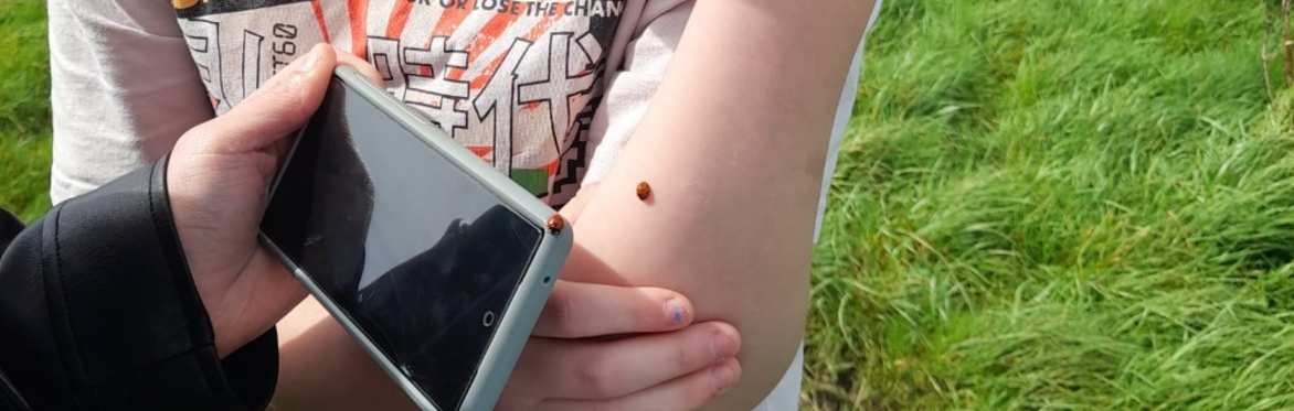 Wild Bunch - Community Wildlife Mapping and garden connectivity