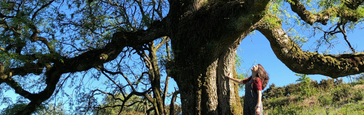 Matlock Storytelling Cafe presents: The World Tree by Lisa Schnideau