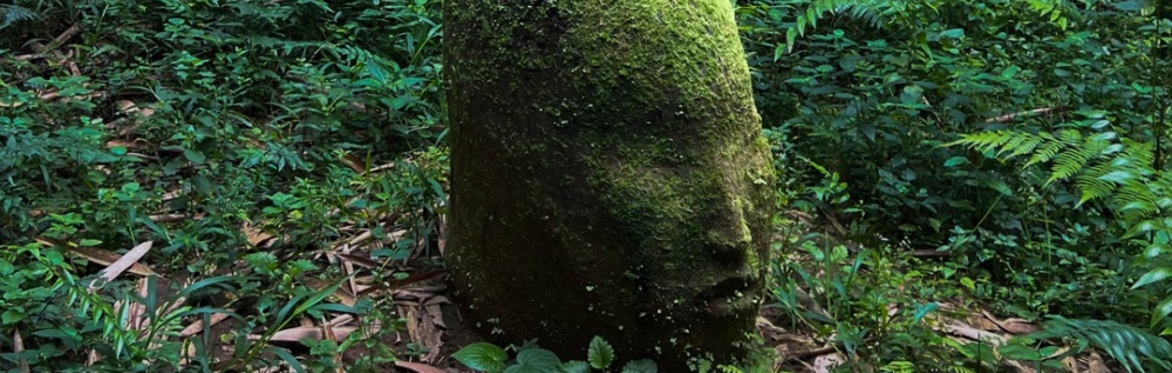 Workshop: Rammed Earth - A Bio-Sculpture with Arran Gregory