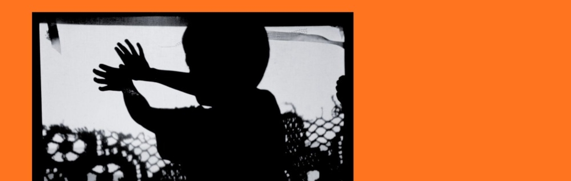 Create your own Shadow Theatre - Family Workshop