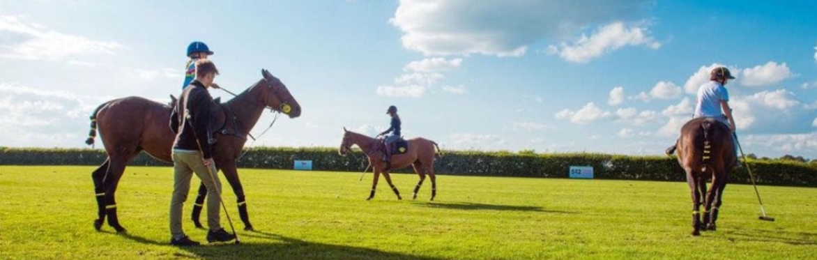 Have a Go at Polo