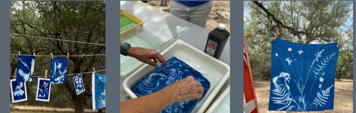 Celebrate Cyanotype