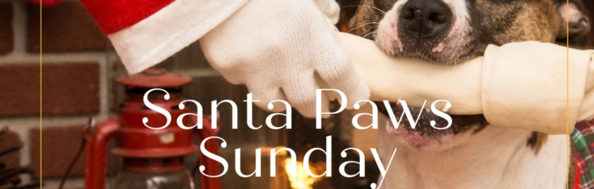 Santa Paws Sunday
