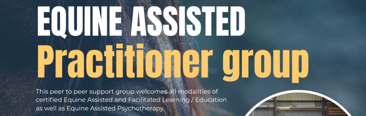 Equine Assisted Practitioner Group
