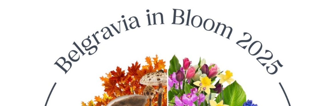 ** BELGRAVIA IN BLOOM **