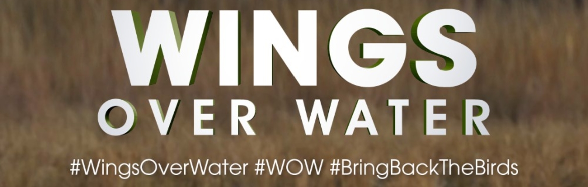 Michael Keaton's WINGS OVER WATER