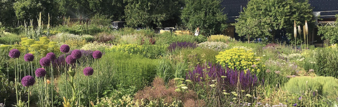 Serge Hill Project Planting Course