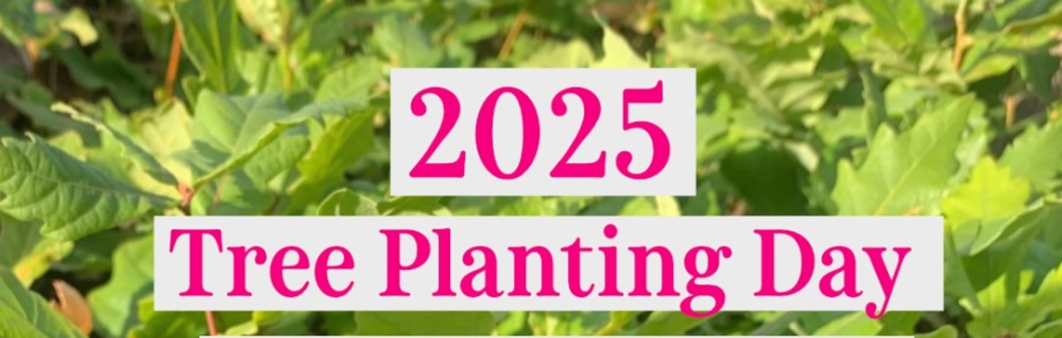 2025 - Tree Planting Day at Sailors Creek