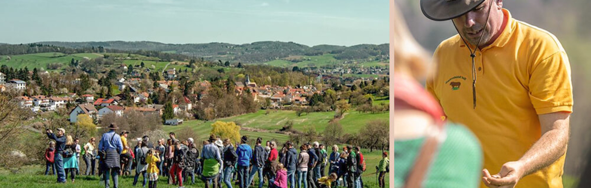 Weidewanderung