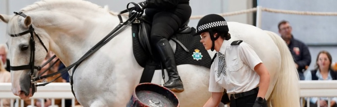Understanding Horse Behaviour with Merseyside Mounted Police