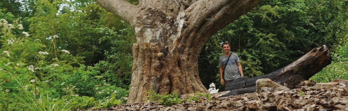 Frome Heritage Tree Walk