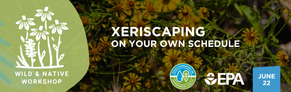 Xeriscaping on Your Own Schedule