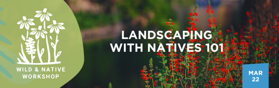 Landscaping with Natives 101