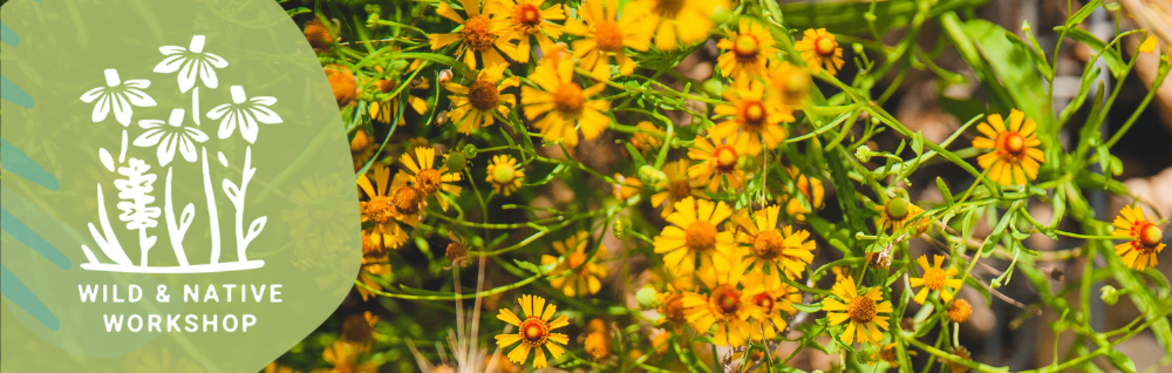 Xeriscape Your Landscape