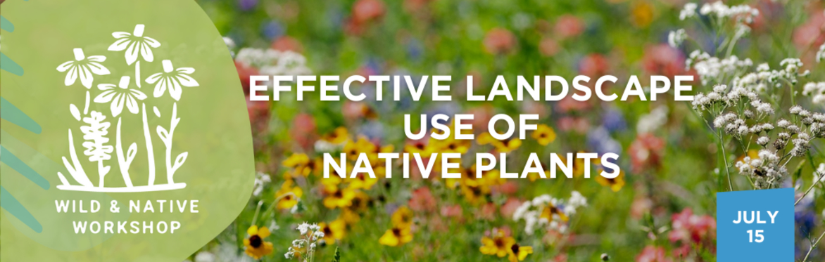 Effective Landscape Use of Native Plants