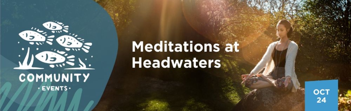 Our Resilient Nature: Meditations at Headwaters