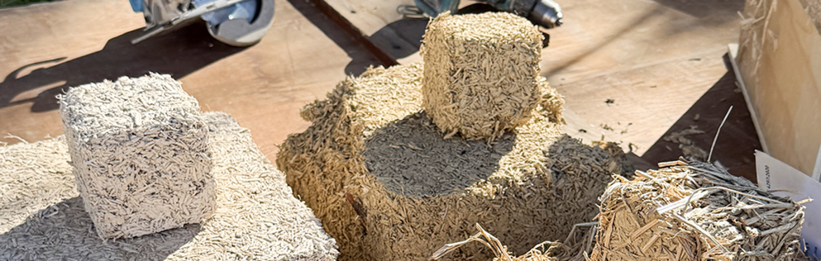 Taking Root: Weaving the Roadmap for Bio-Based Building