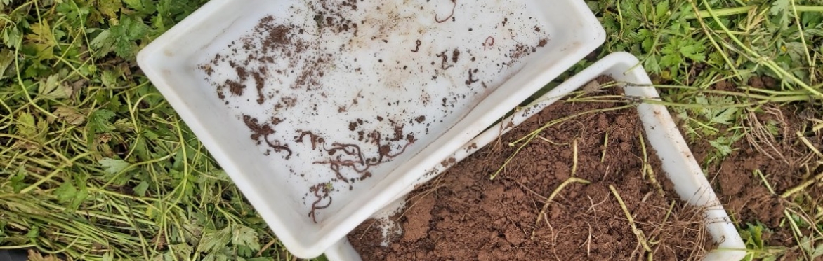 Soil Sampling training: Learn to Read Your Soil