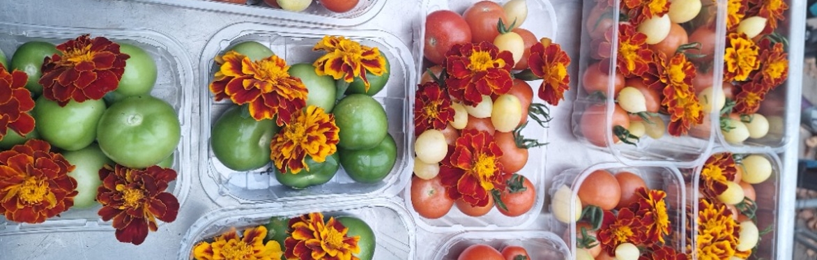 Ornamental and Edible - Introduction to growing edible flowers & edible dye flowers