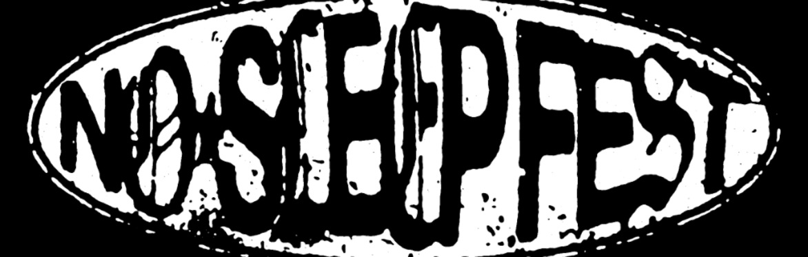 No Sleep Fest 2026 - Day 2 - Single Day Ticket