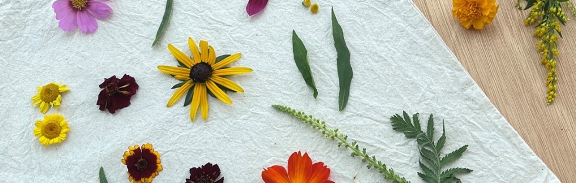 Natural Dyeing Tote Bag Workshop