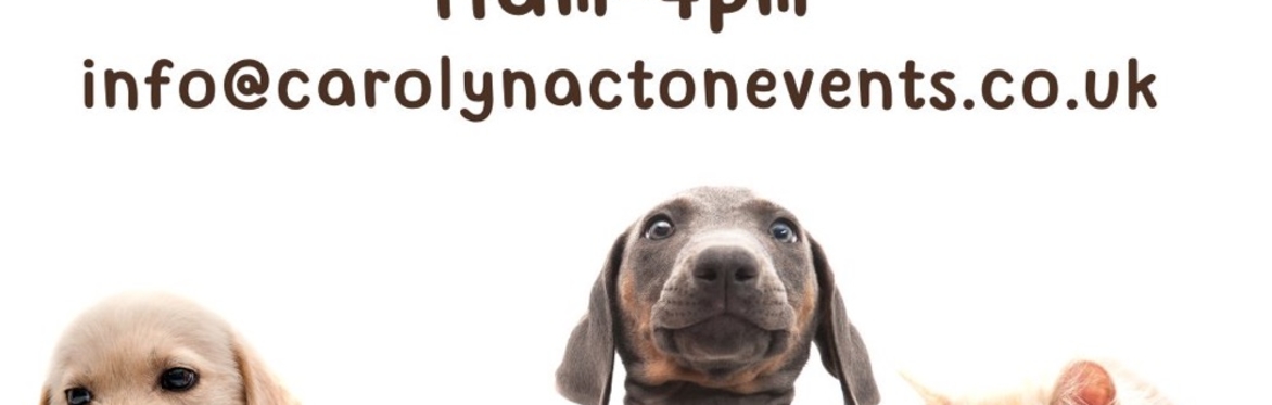 Rutland Pet Festival
