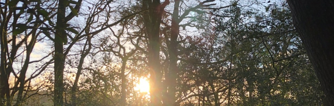 New Light: Stories for the Winter Solstice