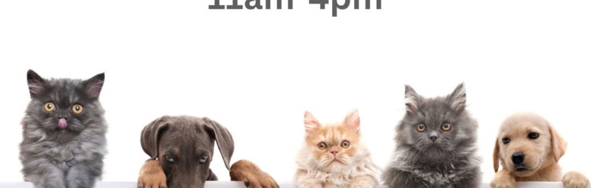 Rutland Pet Festival. Sunday 6th October
