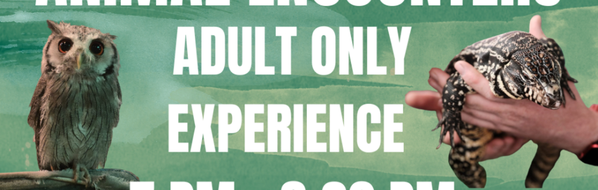 Adult only: An interactive, hands-on evening with our animal ambassadors