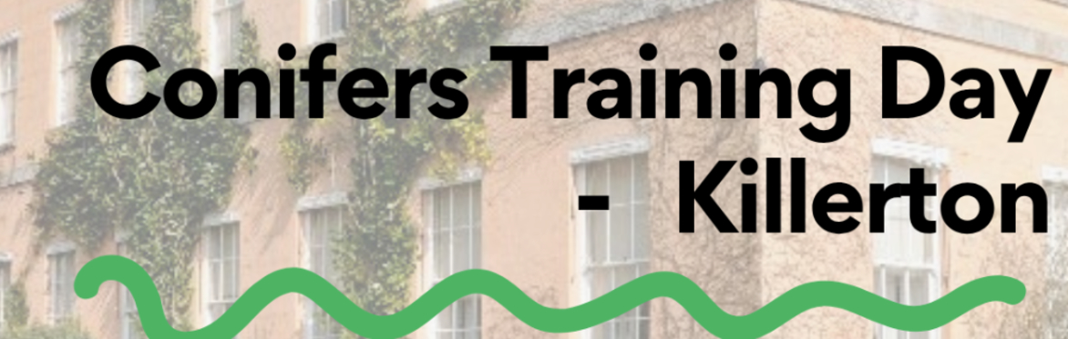 Conifers Training Day - Killerton