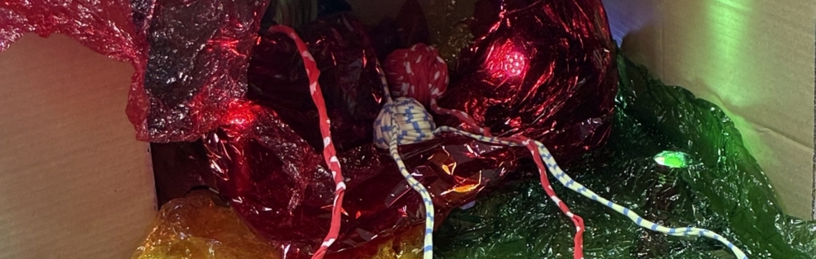 Lights nestled in coloured plastic contained in a cardboard box on it's side. Coloured plastic and laces trailing out of the box.