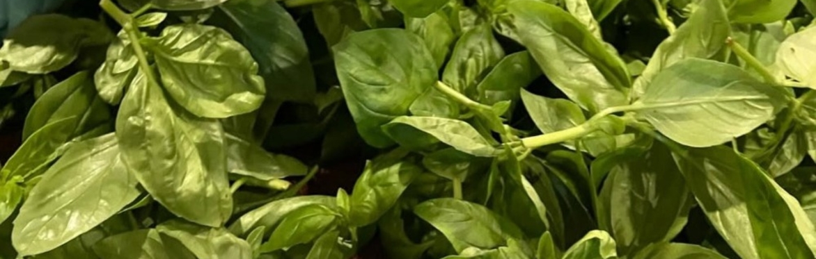 Hop Frog Farm- Farming for preservation: Land, barn and habitat