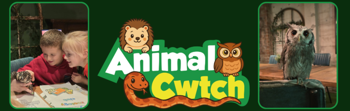 Zoology Club  - Home education - LEVEL 3 - block of sessions