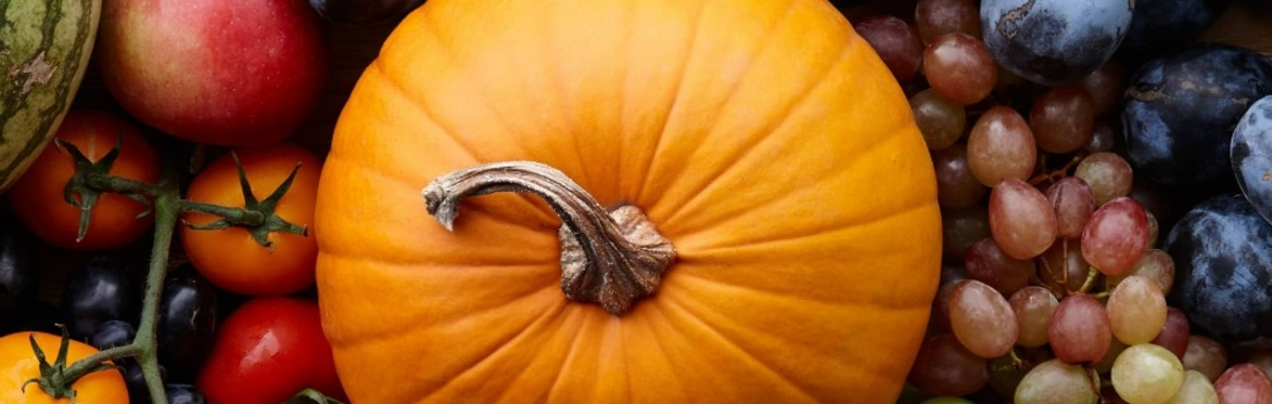 Harvest Festival 2026